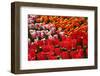 Tulip Garden-Leonard Zhukovsky-Framed Photographic Print