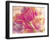 Tulip Glow-Mindy Sommers-Framed Giclee Print