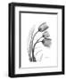 Tulip Gray-Albert Koetsier-Framed Art Print