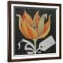 Tulip, Happy Birthday-Jennifer Abbott-Framed Giclee Print