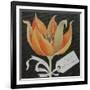 Tulip, Happy Birthday-Jennifer Abbott-Framed Giclee Print