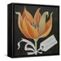 Tulip, Happy Birthday-Jennifer Abbott-Framed Stretched Canvas