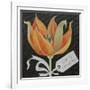 Tulip, Happy Birthday-Jennifer Abbott-Framed Giclee Print