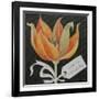 Tulip, Happy Birthday-Jennifer Abbott-Framed Giclee Print