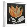 Tulip, Happy Birthday-Jennifer Abbott-Framed Giclee Print
