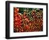 Tulip Harvest-Owen Franken-Framed Photographic Print