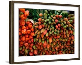 Tulip Harvest-Owen Franken-Framed Photographic Print