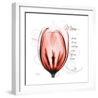 Tulip Head Mom-Albert Koetsier-Framed Premium Giclee Print