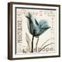 Tulip Hope-Albert Koetsier-Framed Art Print