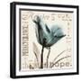 Tulip Hope-Albert Koetsier-Framed Art Print