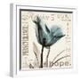 Tulip Hope-Albert Koetsier-Framed Art Print