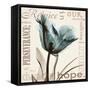 Tulip Hope-Albert Koetsier-Framed Stretched Canvas