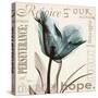 Tulip Hope-Albert Koetsier-Stretched Canvas