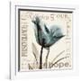 Tulip Hope-Albert Koetsier-Framed Art Print