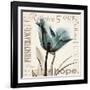 Tulip Hope-Albert Koetsier-Framed Art Print