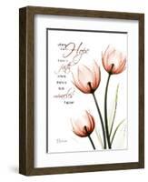 Tulip Hope-Albert Koetsier-Framed Art Print