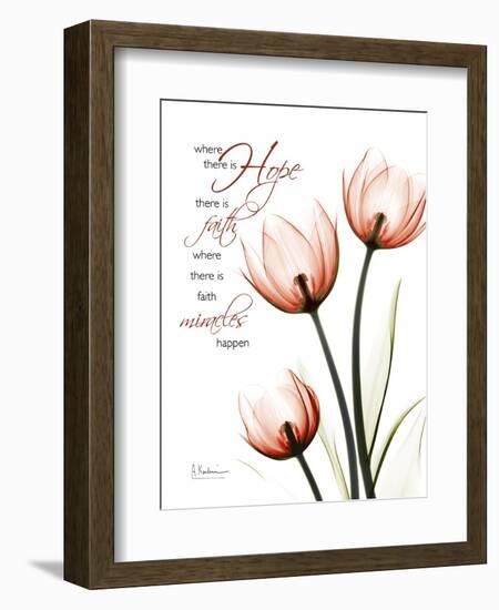 Tulip Hope-Albert Koetsier-Framed Art Print