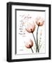 Tulip Hope-Albert Koetsier-Framed Art Print