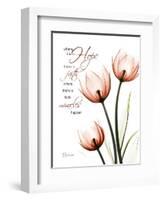 Tulip Hope-Albert Koetsier-Framed Art Print