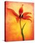 Tulip II-Christine Zalewski-Stretched Canvas