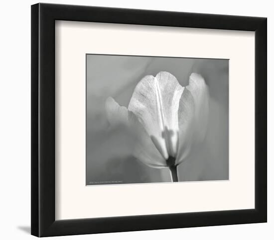 Tulip II-Dennis Frates-Framed Art Print