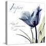 Tulip Inspire-Albert Koetsier-Stretched Canvas