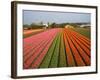 Tulip Lands, Leiden Area, Netherlands-Keren Su-Framed Photographic Print