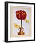 Tulip 'Le Drap D'Or, C.1776-Pierre-Joseph Buchoz-Framed Giclee Print