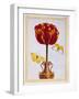 Tulip 'Le Drap D'Or, C.1776-Pierre-Joseph Buchoz-Framed Giclee Print