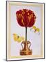 Tulip 'Le Drap D'Or, C.1776-Pierre-Joseph Buchoz-Mounted Giclee Print