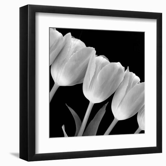 Tulip Line-null-Framed Art Print