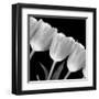 Tulip Line-null-Framed Art Print