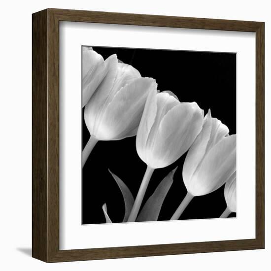Tulip Line-null-Framed Art Print