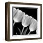 Tulip Line-null-Framed Art Print