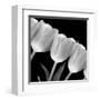 Tulip Line-null-Framed Art Print