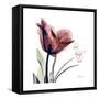 Tulip Live Laugh Love-Albert Koetsier-Framed Stretched Canvas