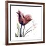 Tulip Live Laugh Love-Albert Koetsier-Framed Premium Giclee Print