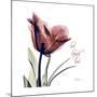 Tulip Live Laugh Love-Albert Koetsier-Mounted Premium Giclee Print