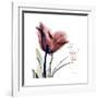 Tulip Live Laugh Love-Albert Koetsier-Framed Premium Giclee Print