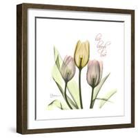 Tulip Love-Albert Koetsier-Framed Premium Giclee Print