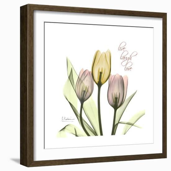 Tulip Love-Albert Koetsier-Framed Premium Giclee Print