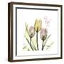 Tulip Love-Albert Koetsier-Framed Premium Giclee Print