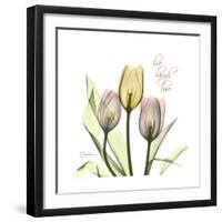 Tulip Love-Albert Koetsier-Framed Premium Giclee Print