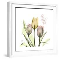 Tulip Love-Albert Koetsier-Framed Premium Giclee Print