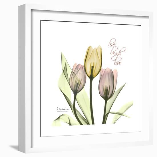 Tulip Love-Albert Koetsier-Framed Premium Giclee Print