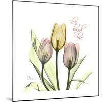 Tulip Love-Albert Koetsier-Mounted Premium Giclee Print