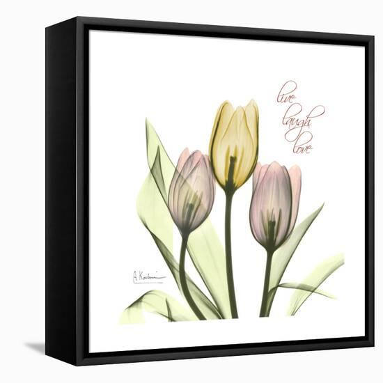 Tulip Love-Albert Koetsier-Framed Stretched Canvas