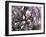 Tulip Magnolia Bloom, Washington, USA-William Sutton-Framed Photographic Print