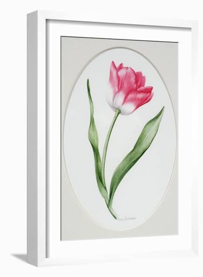 Tulip Meissner Porzellan Singe-Sally Crosthwaite-Framed Giclee Print