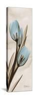 Tulip Moments-Albert Koetsier-Stretched Canvas